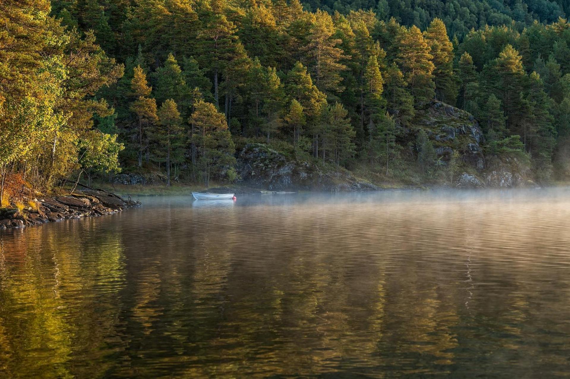Suita Beli Labod Медводе Екстериор снимка